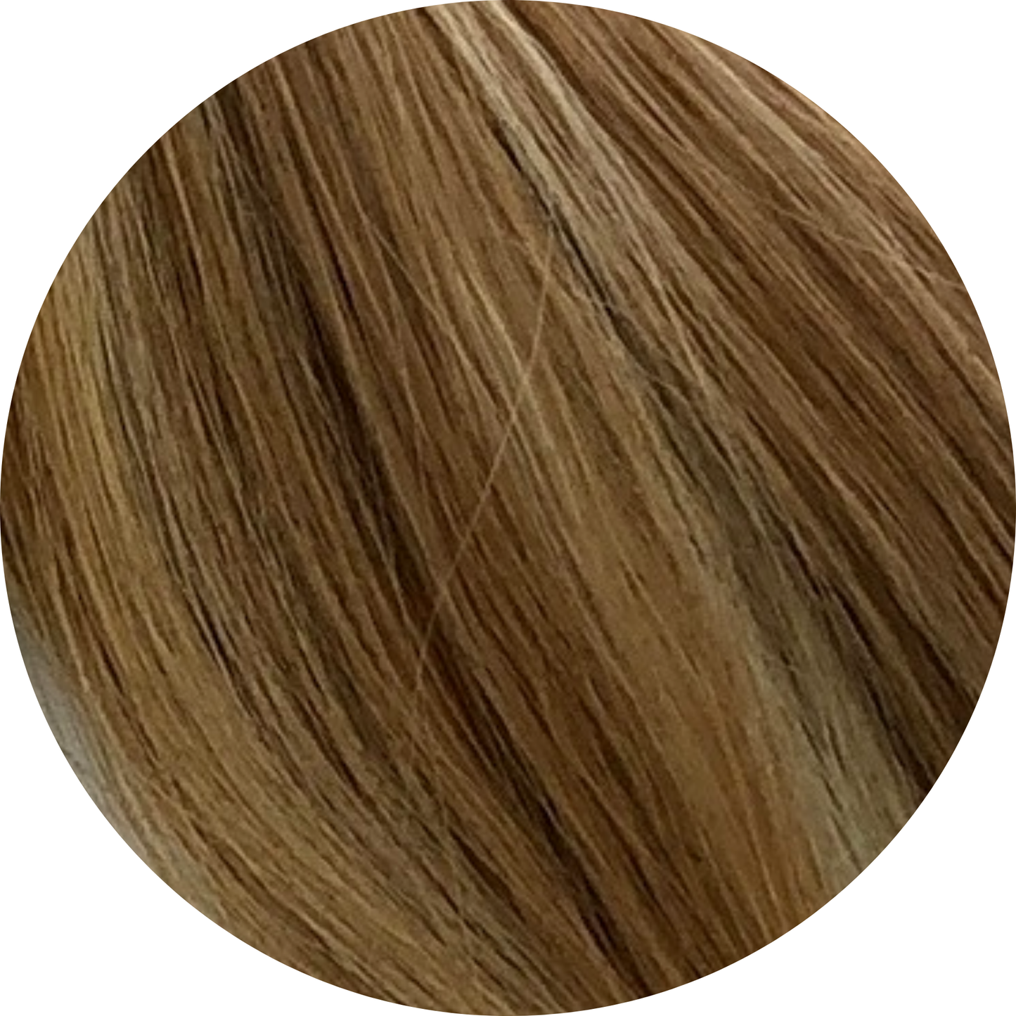 🎁 Wrap Ponytail (100% off)