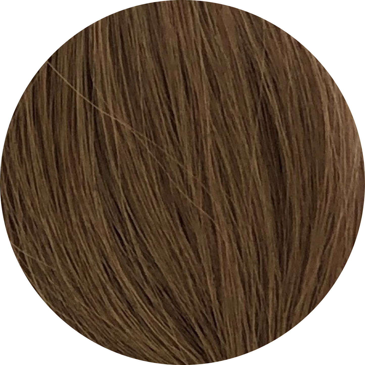 🎁 Wrap Ponytail (100% off)