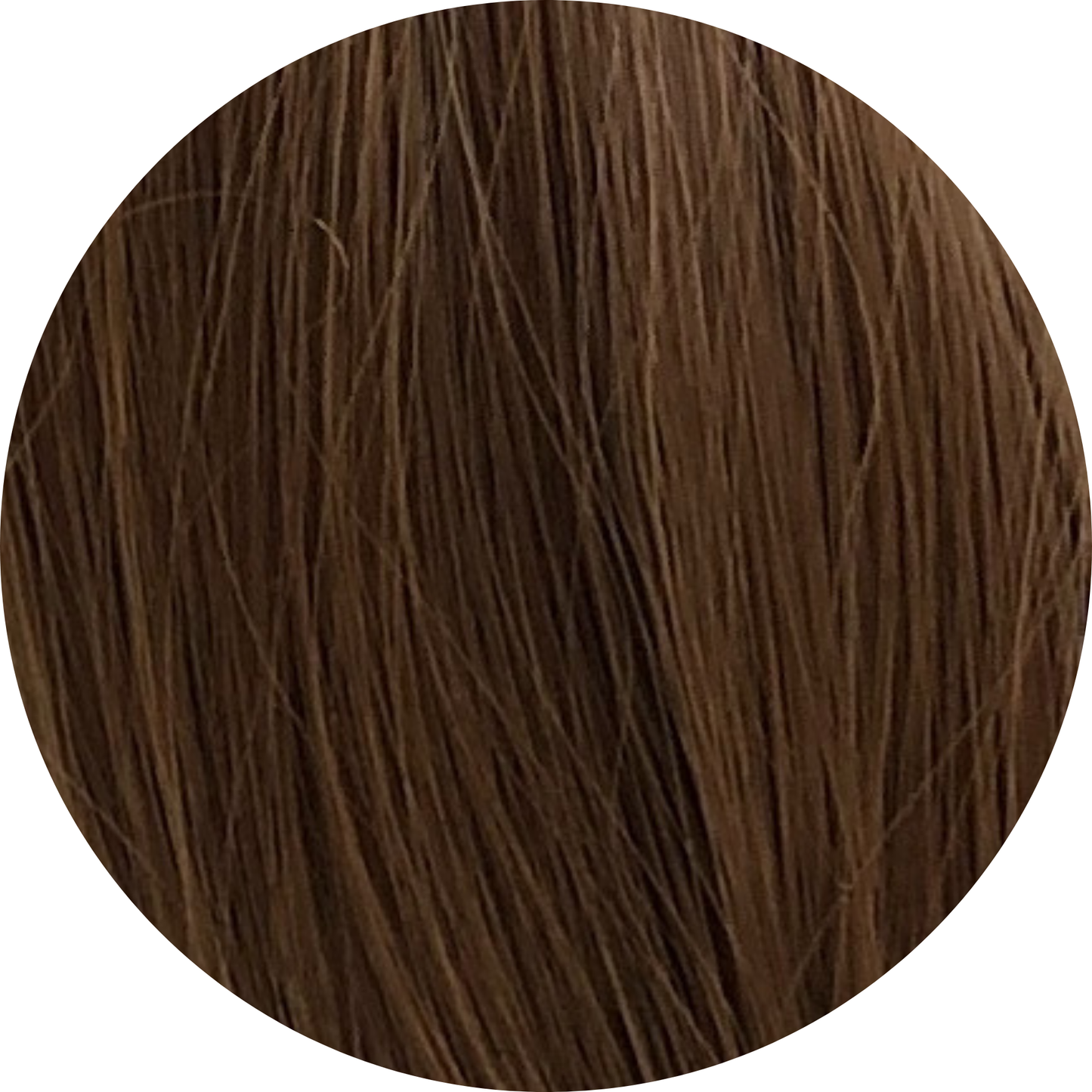🎁 Wrap Ponytail (100% off)