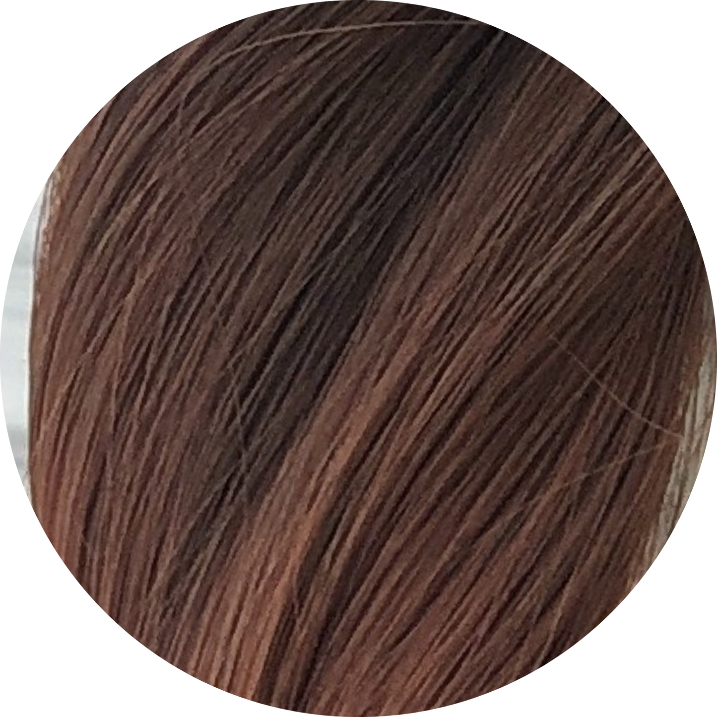 🎁 Wrap Ponytail (100% off)