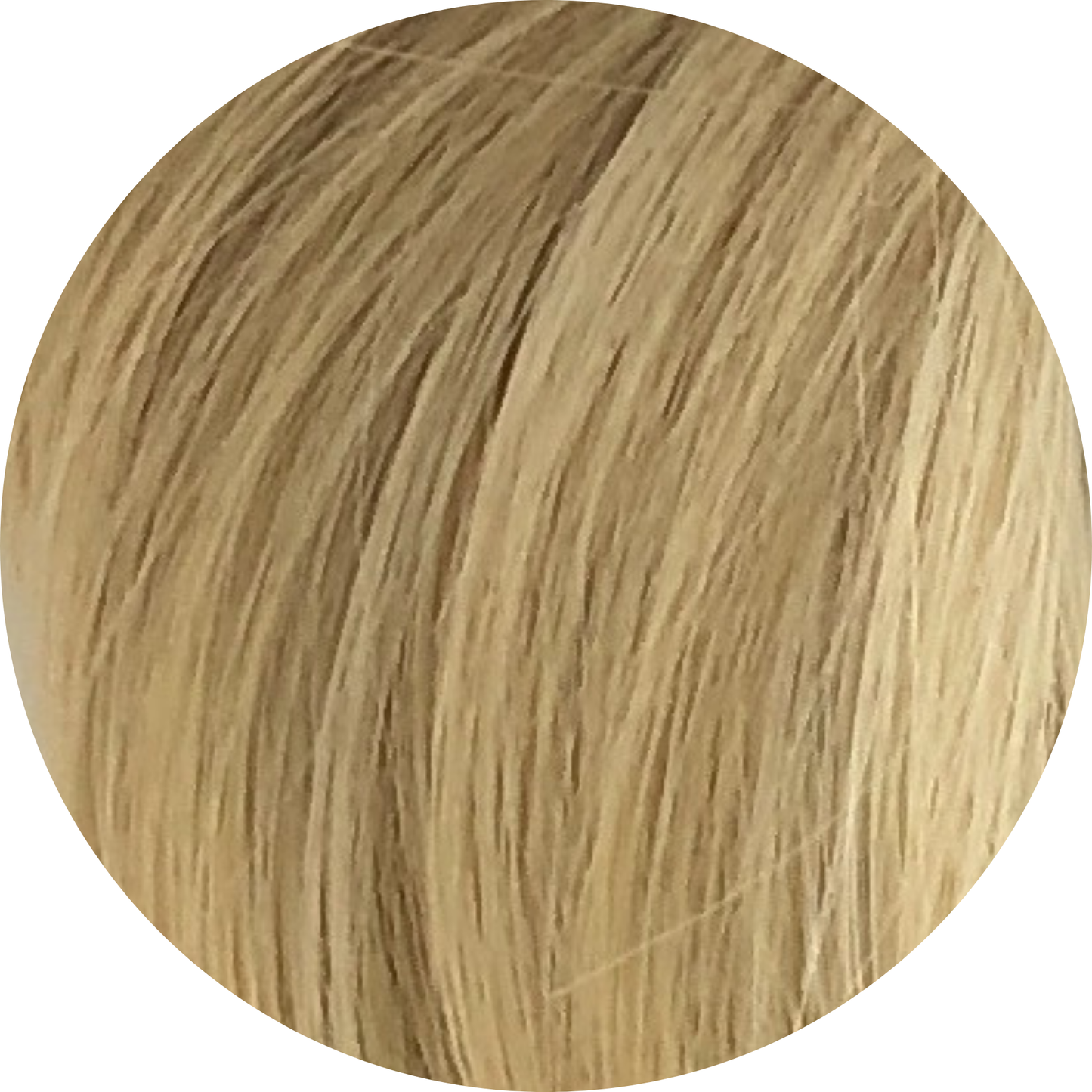 🎁 Wrap Ponytail (50% off)