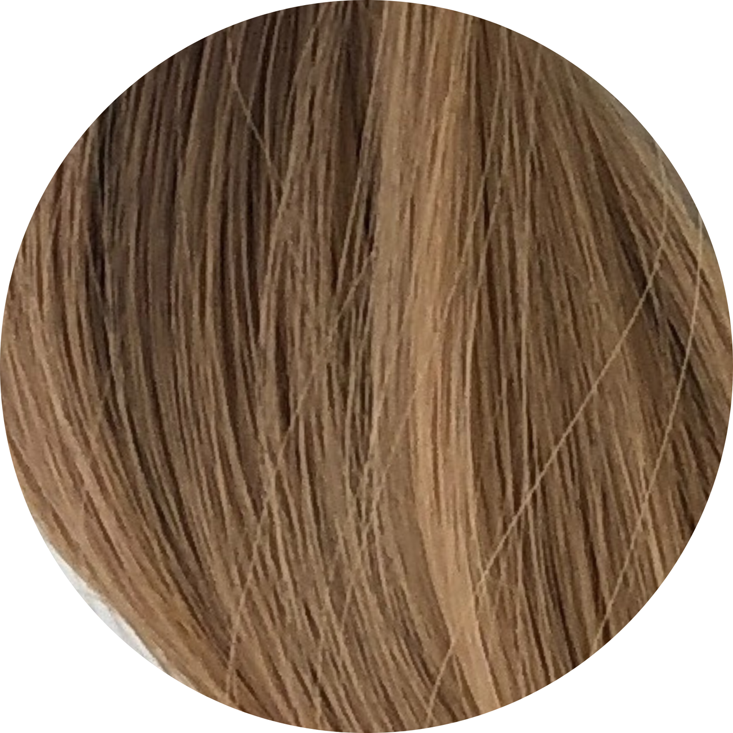 🎁 Wrap Ponytail (50% off)