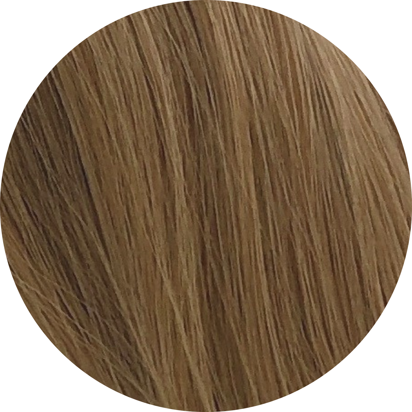 🎁 Wrap Ponytail (50% off)